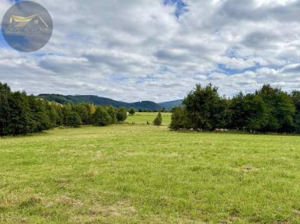 Działka 4090 m2 z warunkami zabudowy - Boreczna