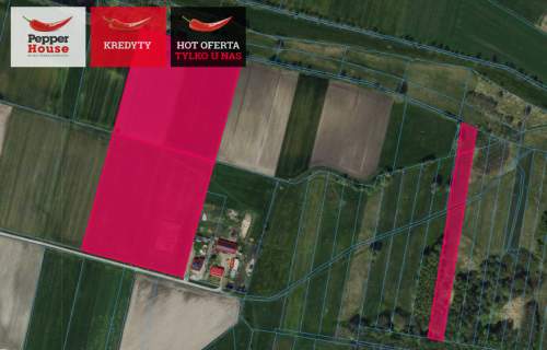 Działka rolna na sprzedaż, 46800 m2, Borki Lipkowskie