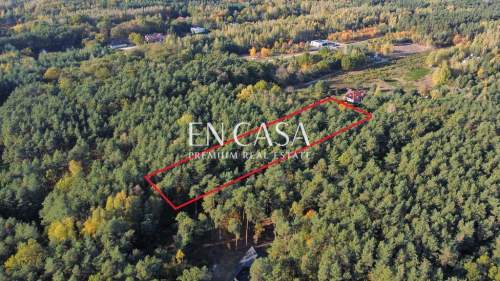 Książenice 6500 m możliwy podział, jedyna taka