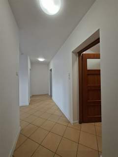 biuro w centrum miasta