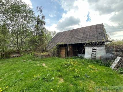 Klimatyczne siedlisko 2,2 ha z własnym lasem
