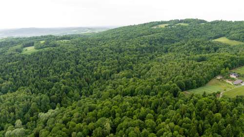 Prywatny las 41 ar Siemiechów, gm. Gromnik