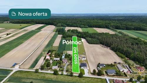 Działka z lasem niedaleko Krasnobrodu 55 ar