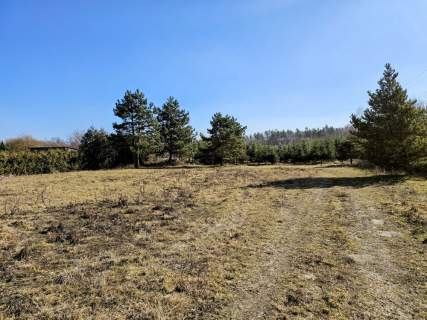 Działka budowlana 8600 m2 w klimatycznej miejscowości / MPZP...