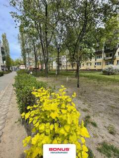 2 pokoje na parterze al.3 Maja