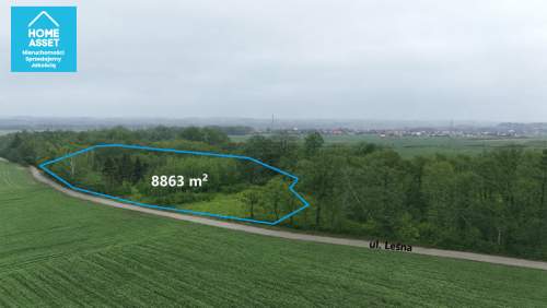 Działka z WZ i pozw. na budowę w otoczeniu lasu.
