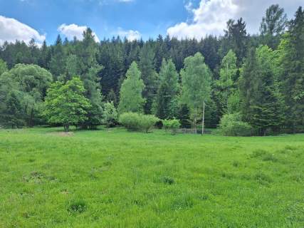 Targoszów działka 2350 m2 spokój las góry