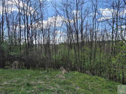 5,28 ha gruntów rolnych z punktem widokowym