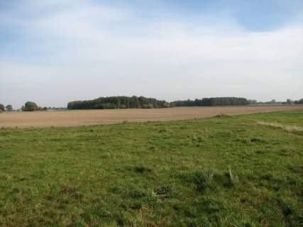 Działka z WZ 90km od Warszawy-Płońsk-Płock-Raciąż