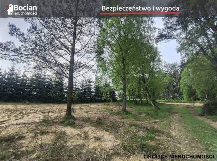 Kompleks działek w otulinie lasu- Dobrzewino