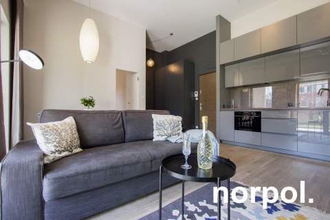 Nowoczesne mieszkanie z loggią i tarasem / Modern apartment with...