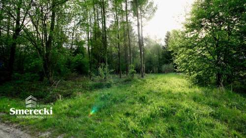 Siedlisko 60 ar z domem, Olszanka gm. Krzczonów