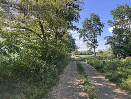 Działka inwestycyjna na sprzedaż, 1000 m2, Wilkowyja