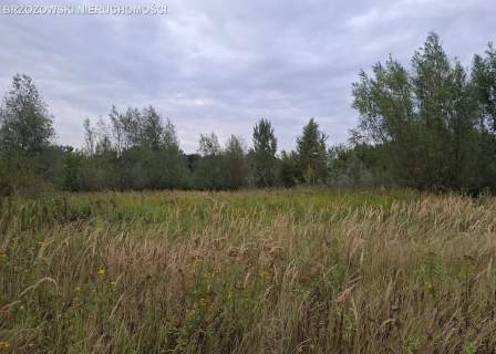 Wawer, Zerzeń, 835 m2, WZ, wolnostojący