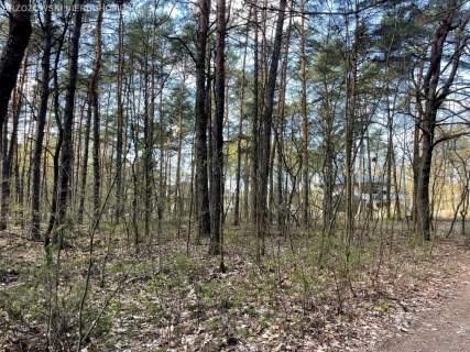 Otwocj, 2680 m2, MPZP, wolnostojący