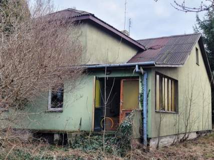 Dom wolnostojący