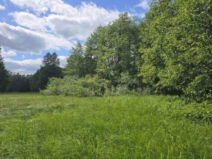 Działka siedliskowa na sprzedaż, 4800 m2, Przystawy