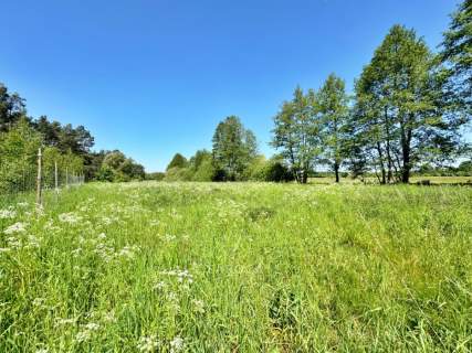 Działka, warunki zabudowy, 2900 m2/Czarne Błoto.