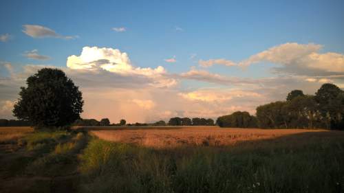 Gotowe do zamieszkania małe siedlisko