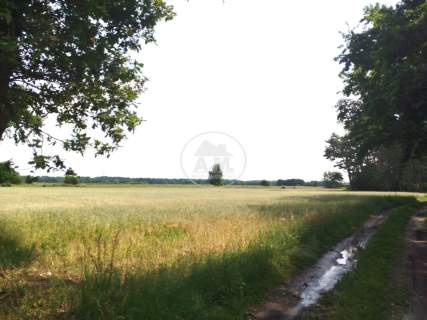 Kędzie działka przy lesie w Dolinie Baryczy