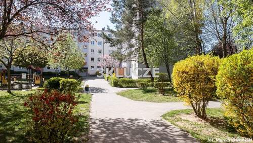 Dwa pokoje Czuby - Bursztynowa