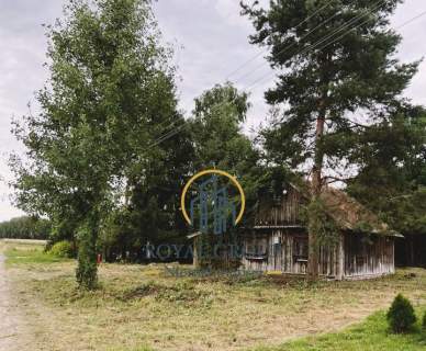 Działka z domem drewnianym
