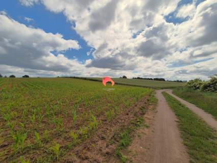 PRZY LESIE DZIAŁKA 3.000M2 STARY JASINIEC Z W.Z.