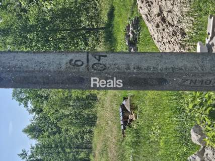 Duża Działka - Kampinoski Park Narodowy