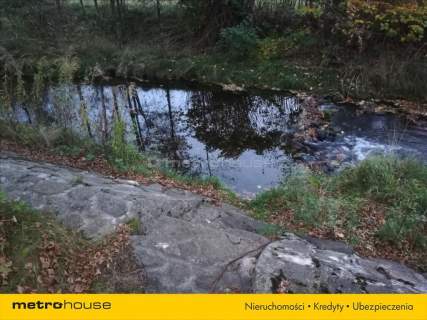 Duży dom z dużą działką ponad 5 hektarów