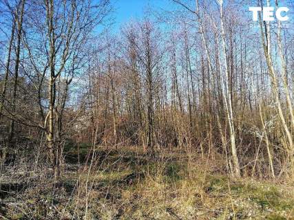 73 ar I Wrząsowice I zielona spokojna okolica
