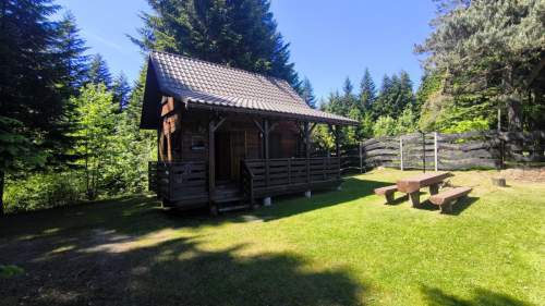 Bajeczna okolica - las, widok, natura