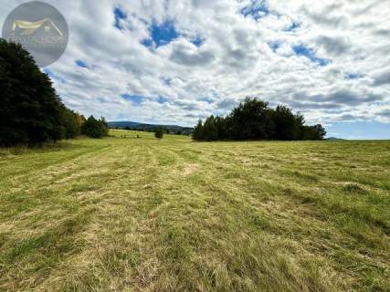 Działka 4090 m2 z warunkami zabudowy - Boreczna