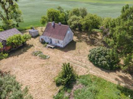 Siedlisko bez sąsiadów 4400 m2 prywatności Stary sad i wę