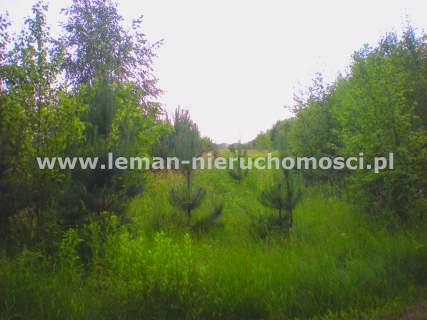 Działka budowlana na sprzedaż, 12100 m2, Jankowa