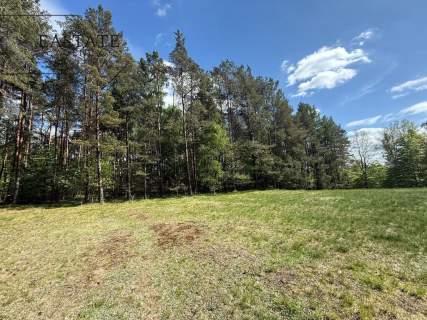 Działka w otulinie lasów Trzy Rzeki, Kaszuby 