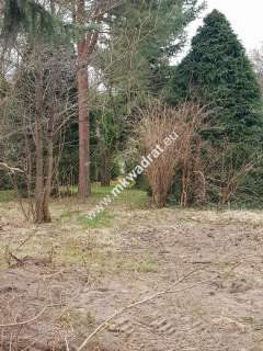 Blisko WKD na dom 2 lokal Media 1600m2