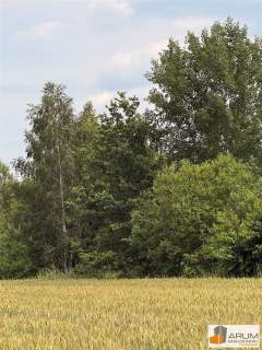 Działka budowlana na sprzedaż, 1114 m2, Lubojna