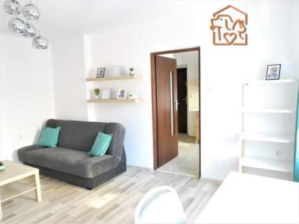 Kawalerka, komórka, pet-friendly - 11 Listopada 45