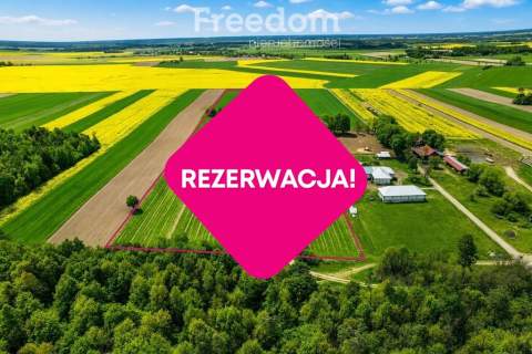 7ha z siedliskiem i projektowaną strefą górnictwa