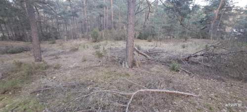 Działka budowlana na sprzedaż, 3893 m2, Stare Lipki