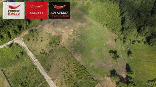 ul. Pagórkowa, Przyjaźń