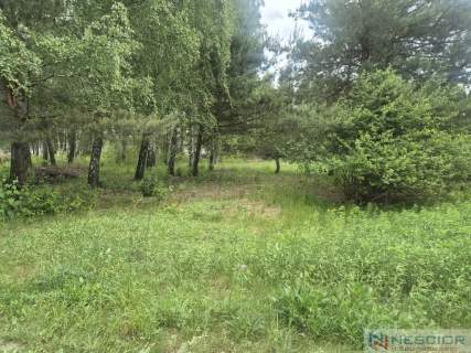 Działka 800m2 w Siennicy