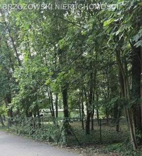 Podkowa Leśna, rejon Parkowej, MPZP, mieszkaniowa