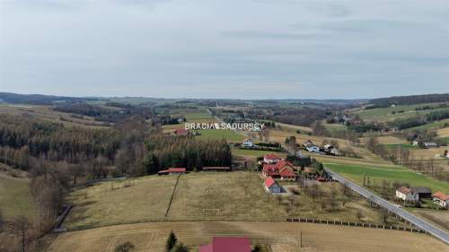 Duży dom 631 m 1,76 ha potencjał inwestycyjny