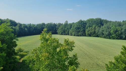 Duża działka rolna w Ochabach Małych.