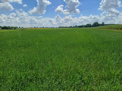 Działka budowlana 1800 m w Krężnicy Okr.