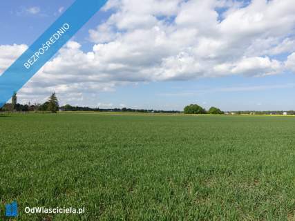 Skoczów Pruchna 1,15ha pod zabudowe jednorodzinną i stadnine