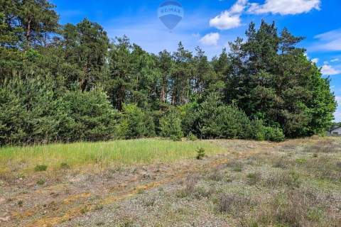 Działka budowlana 2630m2 z lasem