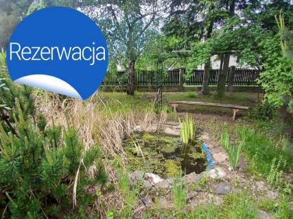 Dom z pięknym ogrodem
