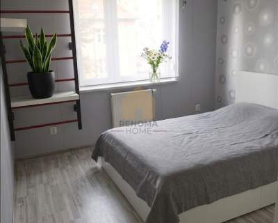 Mieszkanie/3 pokoje/1 piętro